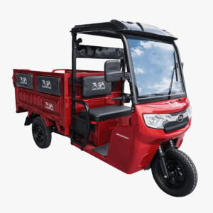 TRICIMOTO ELÉTRICA ROJA MOUNTAIN 3000W